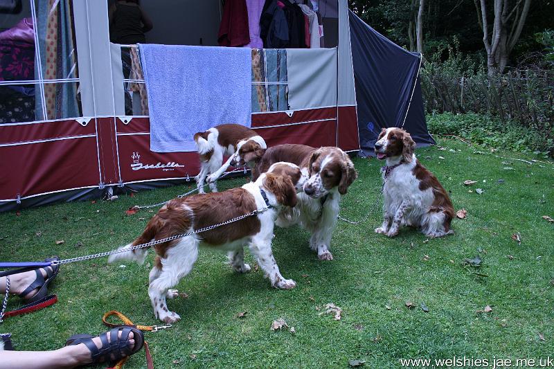 2009-07-19 23a02.jpg